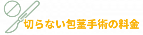 名古屋の包茎手術クリニックの選び方：切らない包茎手術の料金を示す画像